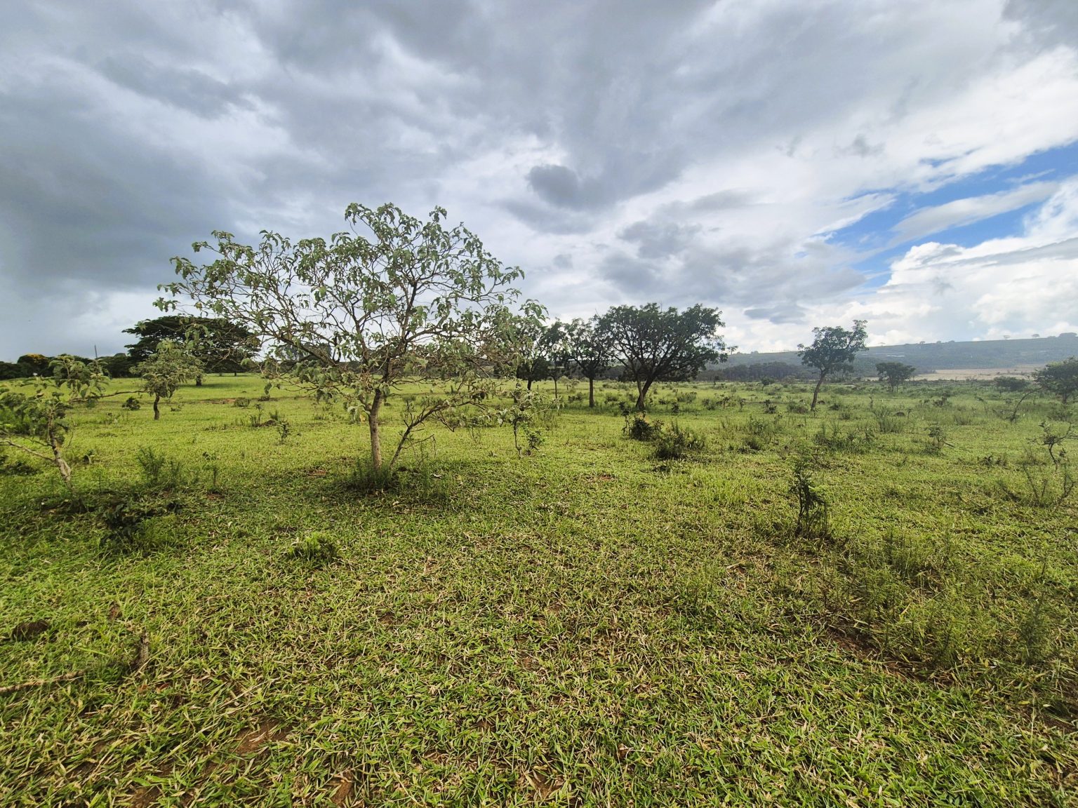 SN_Landscape