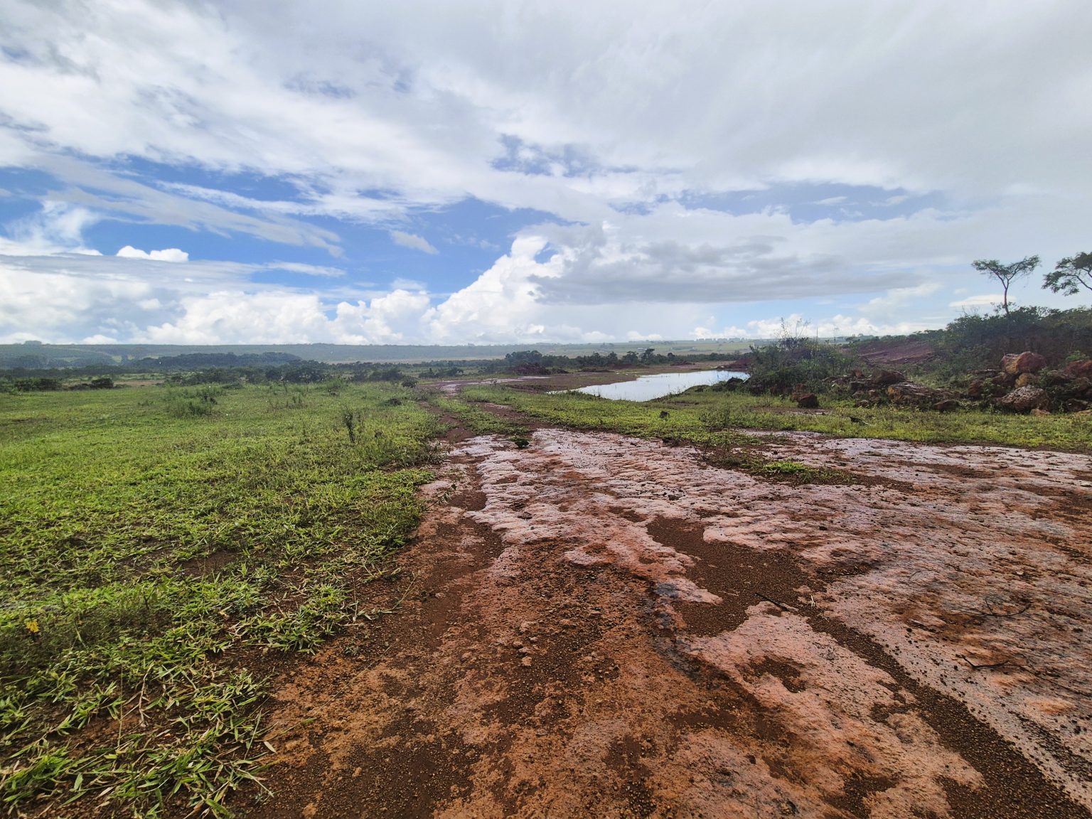 SN_Landscape_lookingSW
